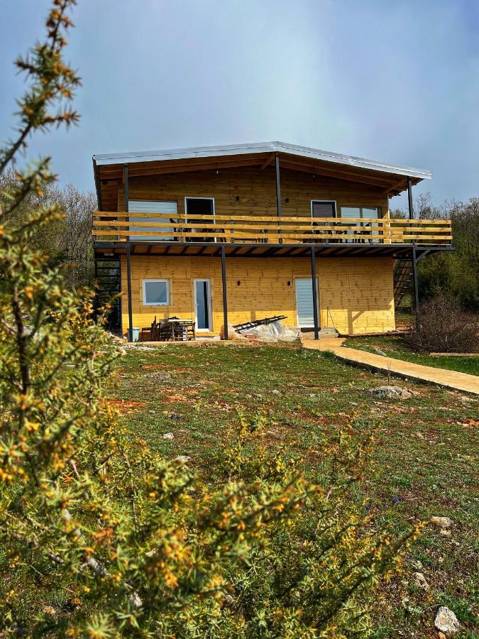 Villa & Apartments Cityview Ohri Dış mekan fotoğraf