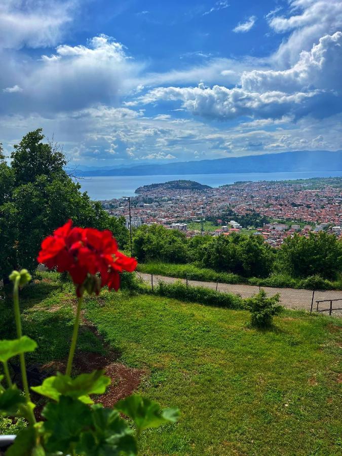 Villa & Apartments Cityview Ohri Dış mekan fotoğraf